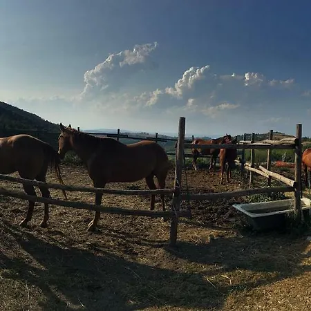 Dom wakacyjny Maison Des Roses - Family Farm *